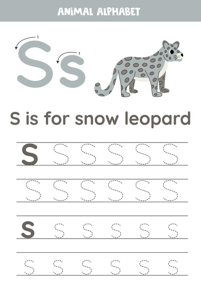 Rückverfolgung Alphabet Briefe zum Kinder. Tier Alphabet. s ist zum Schnee Leopard. vektor