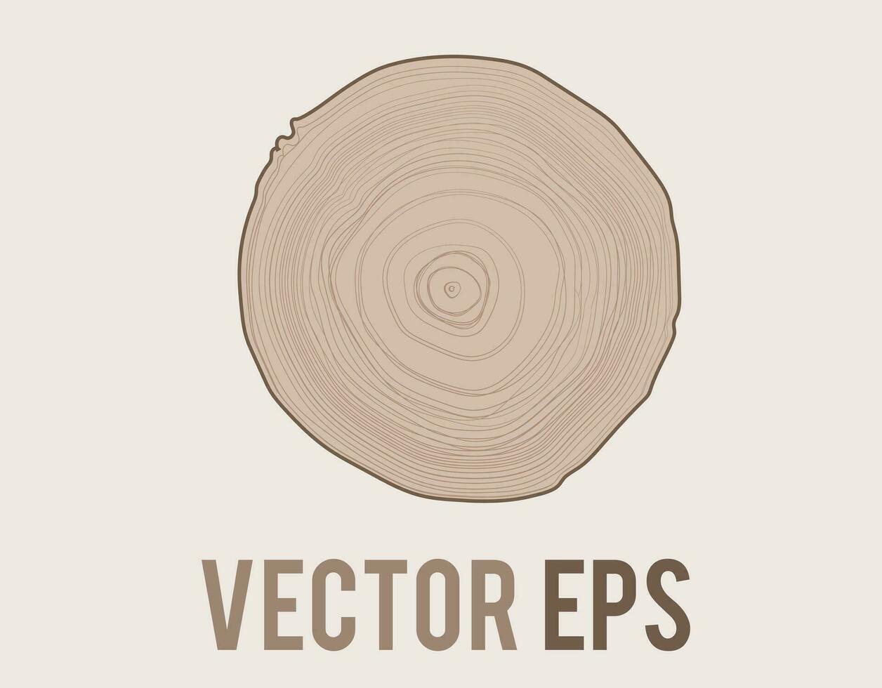 Vektor Baum mit Holzmaserung Ring natürlich Textur von oben Aussicht