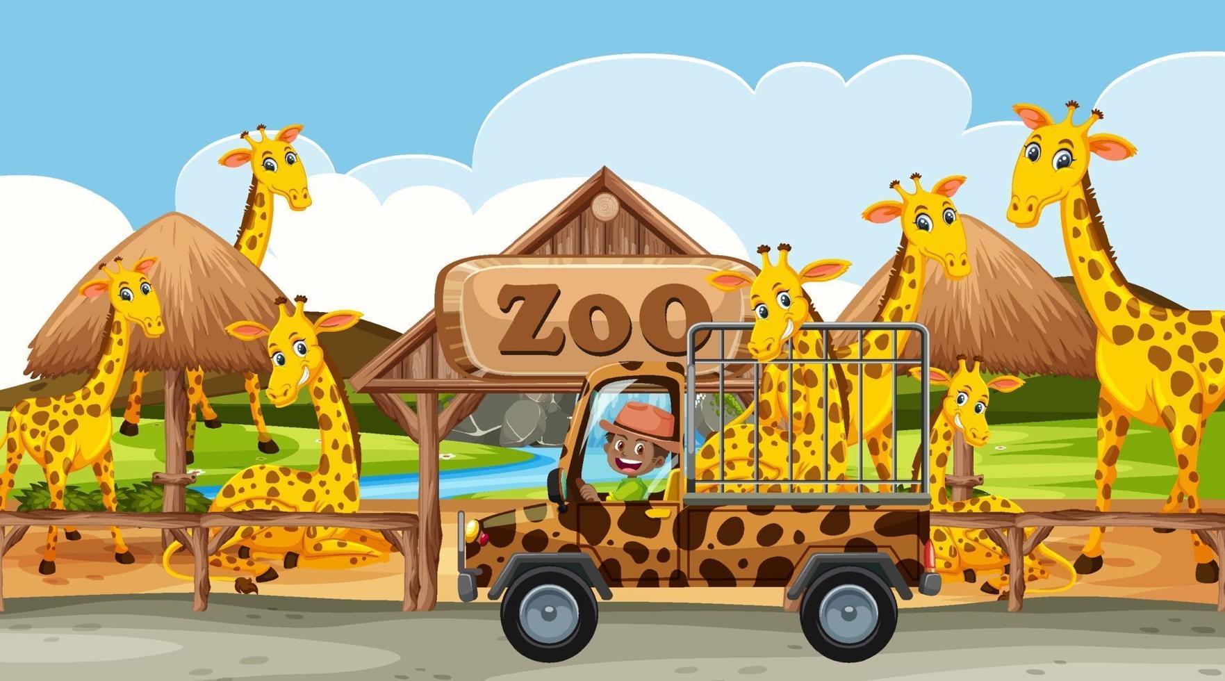 safari scen på dagtid med giraffgrupp på pickup vektor