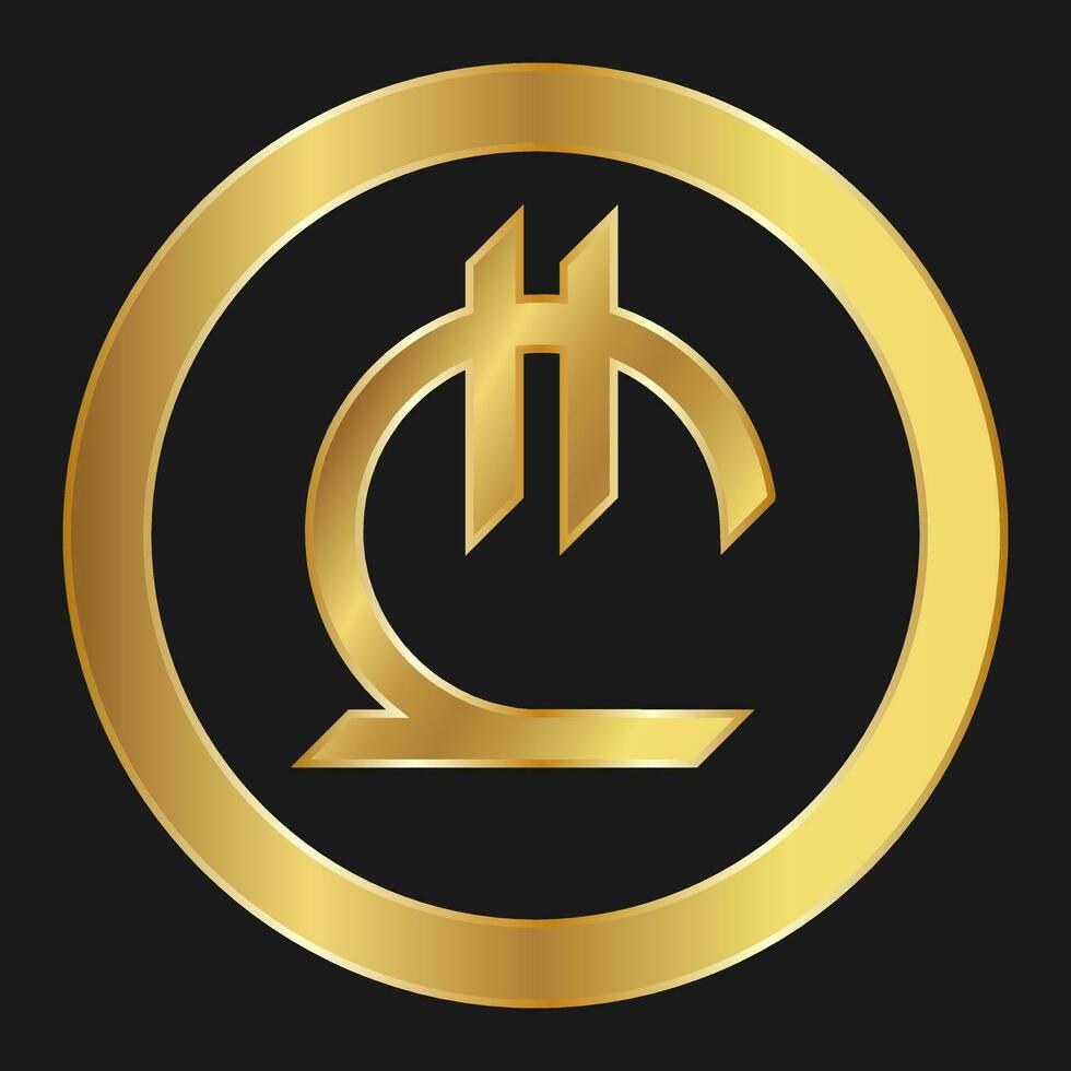 Gold Lari Symbol Konzept von Internet Netz Währung vektor