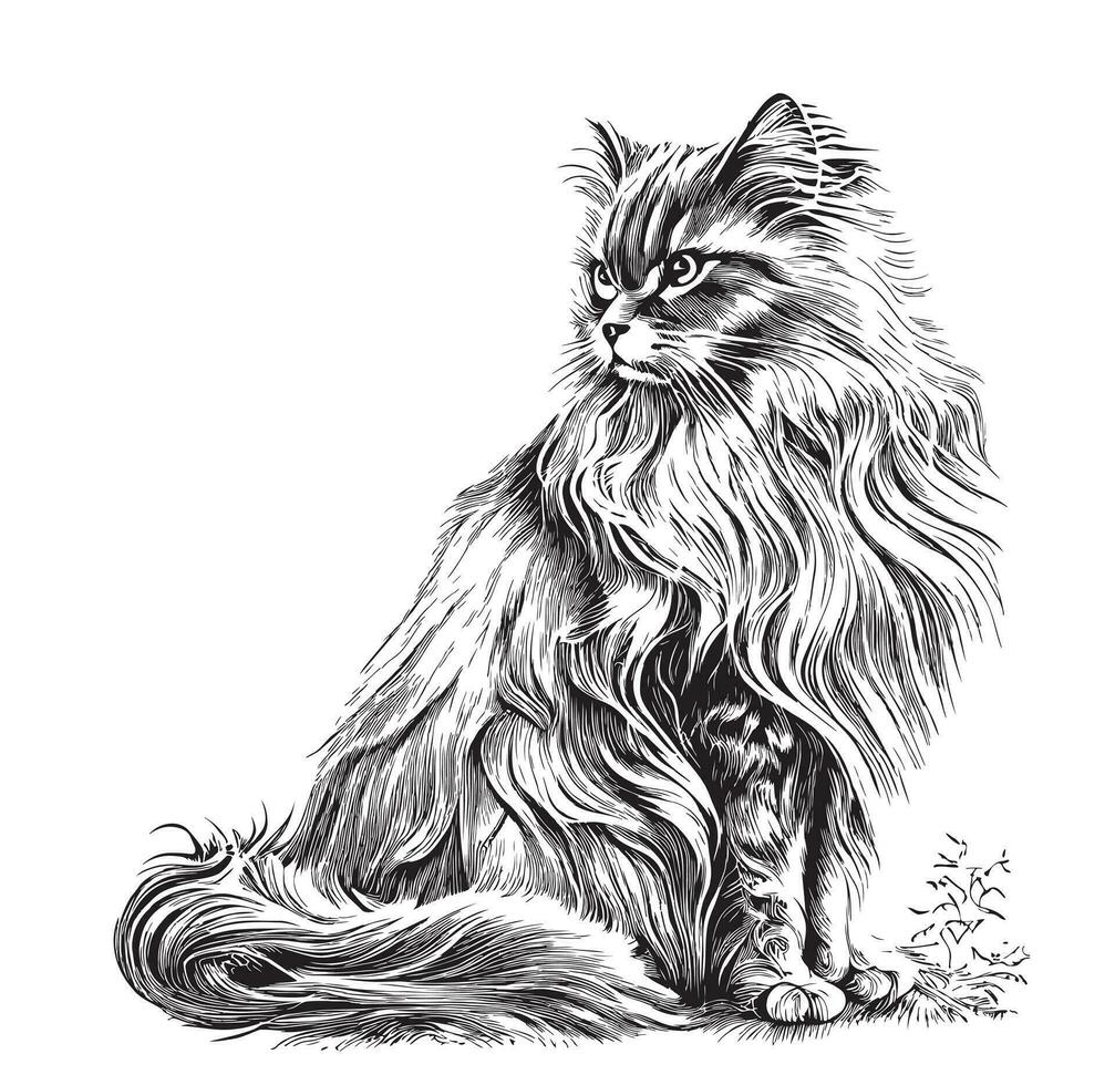 flauschige Katze Sitzung Hand gezeichnet skizzieren Vektor Illustration