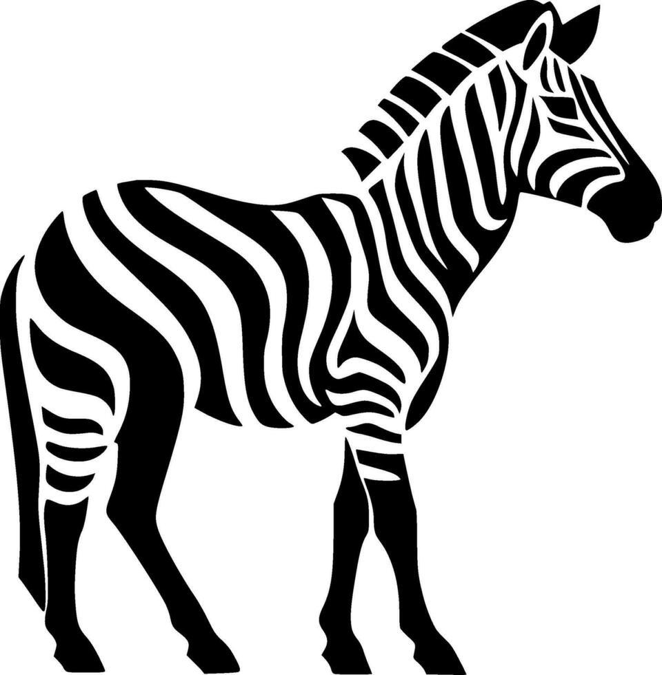 zebra, svart och vit vektor illustration