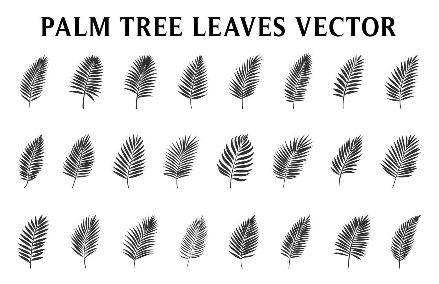 schön Palme Baum Blatt Silhouetten einstellen vektor
