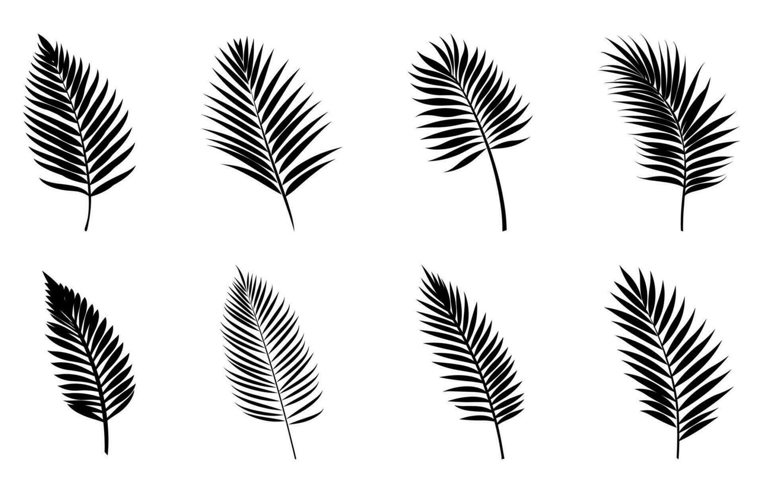 schön Palme Baum Blatt Silhouetten einstellen vektor