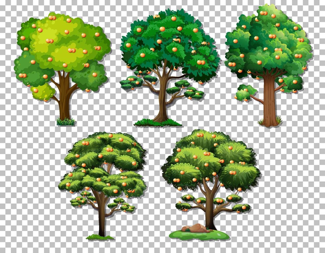 Reihe von verschiedenen Bäumen vektor