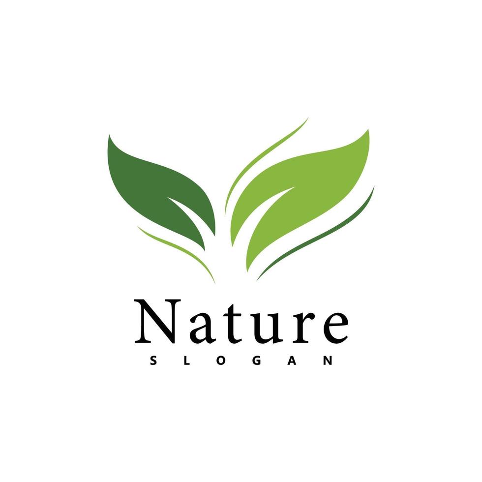 Natur-Logo-Vektor-Design-Vorlage. Blattsymbol vektor