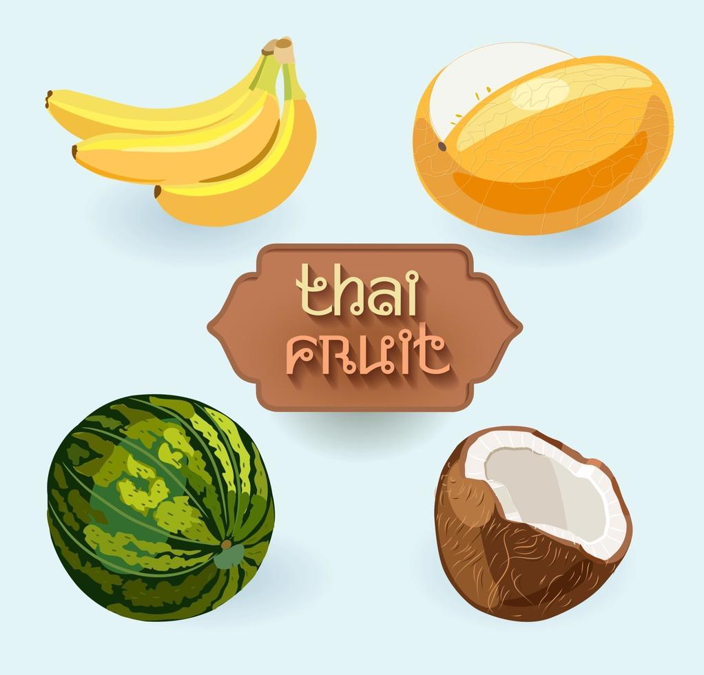 thailändska frukter. frukt från thailand. vattenmelon, banan, melon, kokos vektor