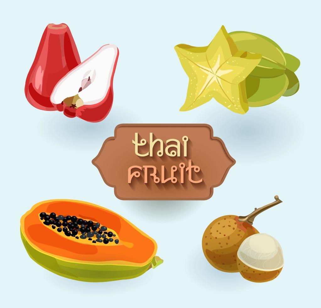 thailändische Früchte. Obst aus Thailand. Rosenapfel, Karambole, Papaya vektor