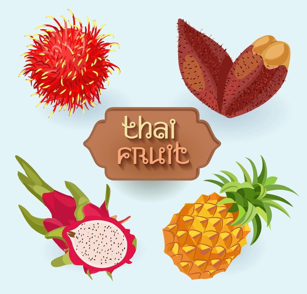 thailändska frukter. frukt från thailand. rambutan, drakefrukt, ananas vektor