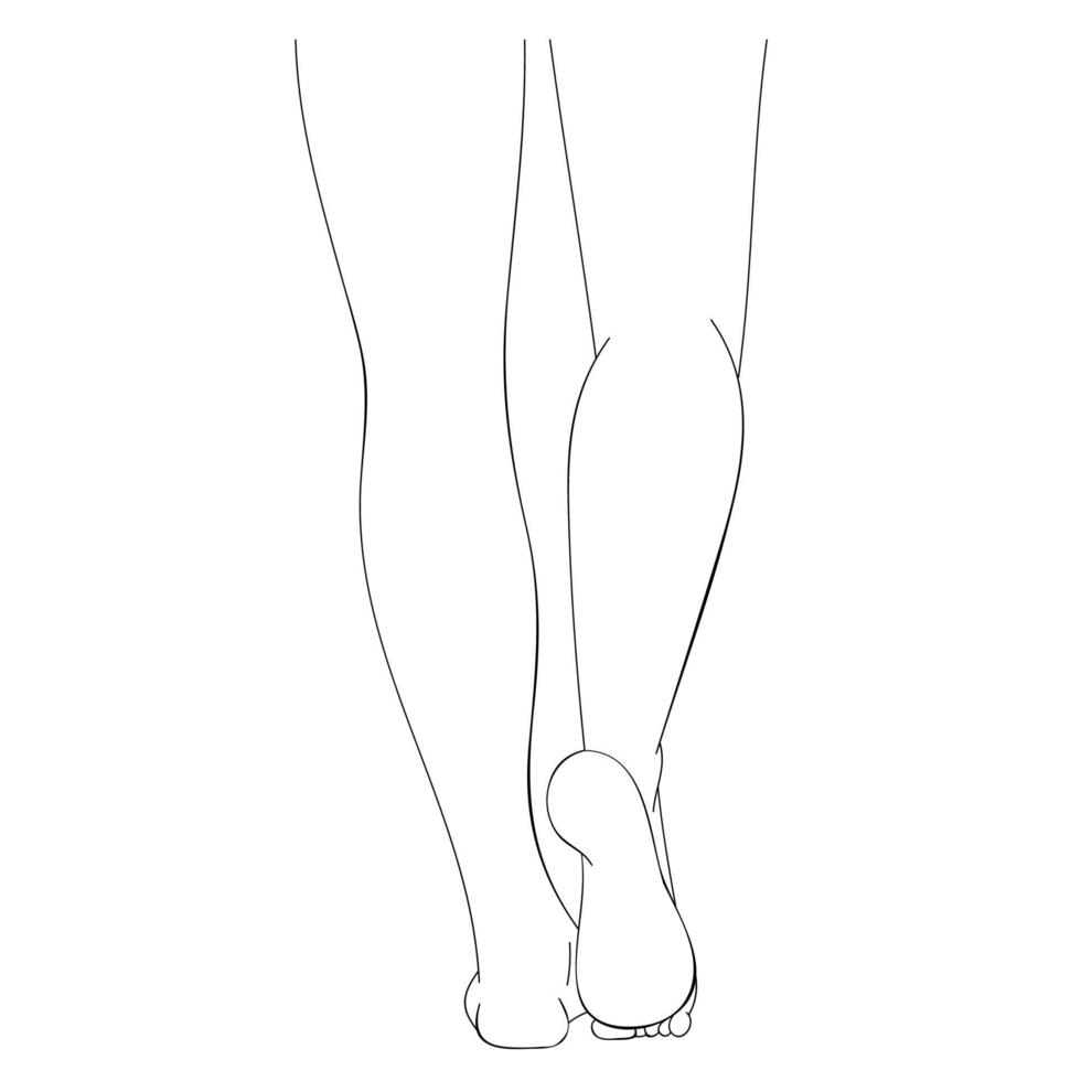 nackte weibliche Beine, schlank und schön. vektor