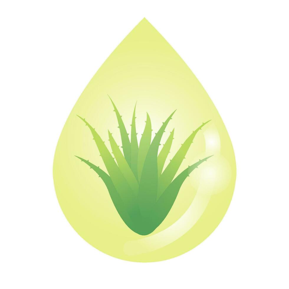 aloe vera extrahera vektor isolerat på vit bakgrund. släppa av aloe vera olja extrahera med löv av aloe växt. organisk extrahera, medicinsk växt och naturlig olja illustration begrepp.