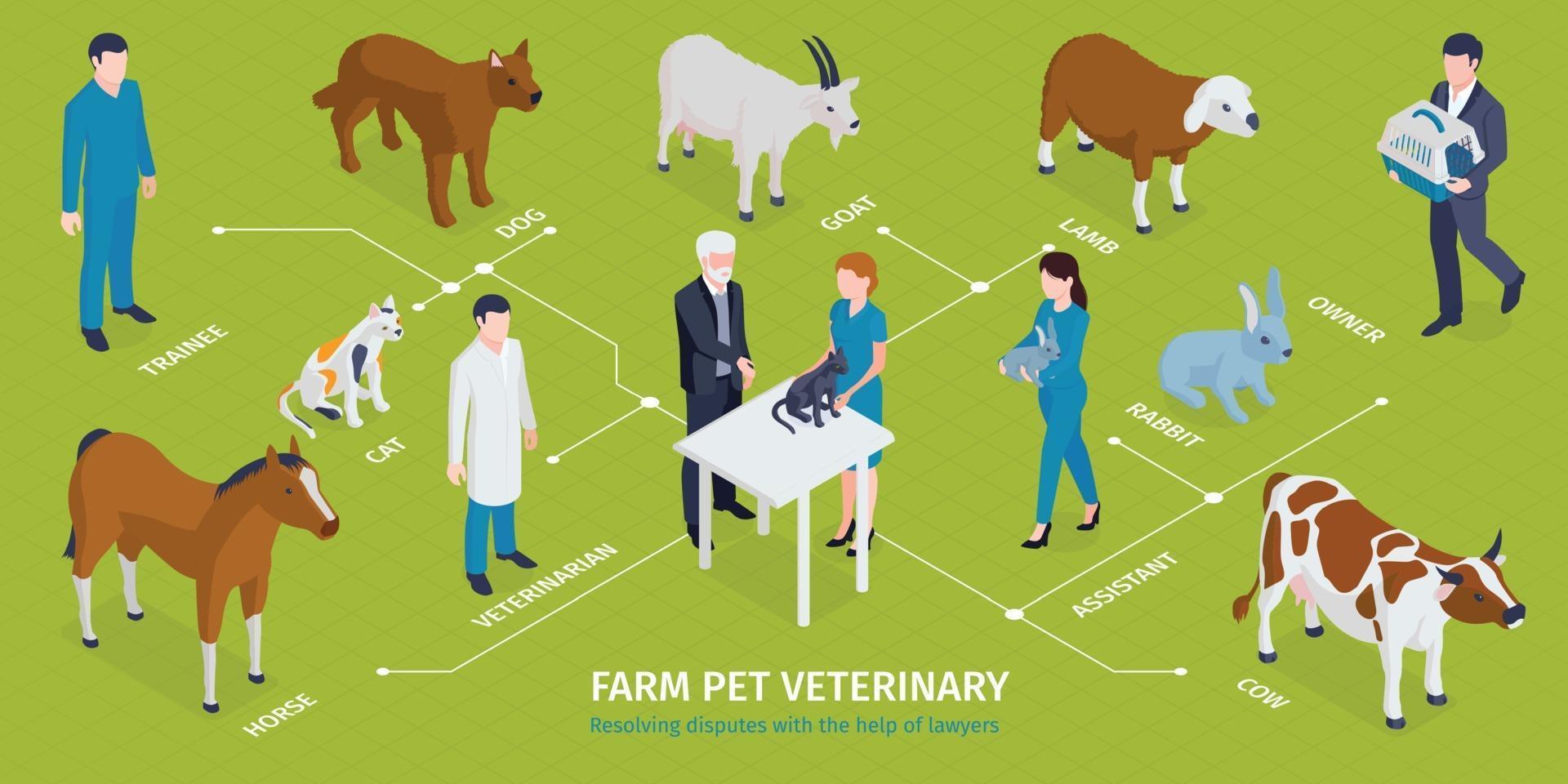 Bauernhof Haustiere Veterinärinfografiken vektor