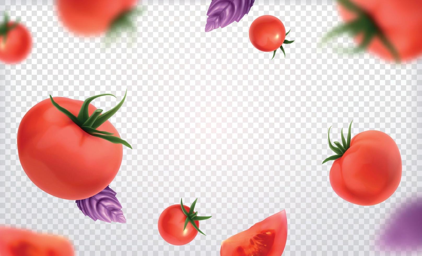 tomat transparent bakgrund vektor