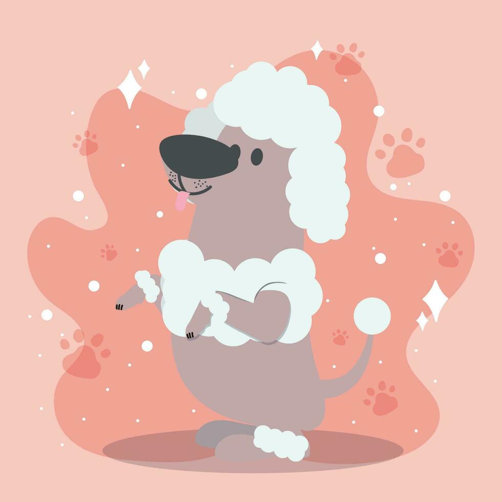 süß Französisch Pudel Hund Karikatur Charakter Vektor Illustration