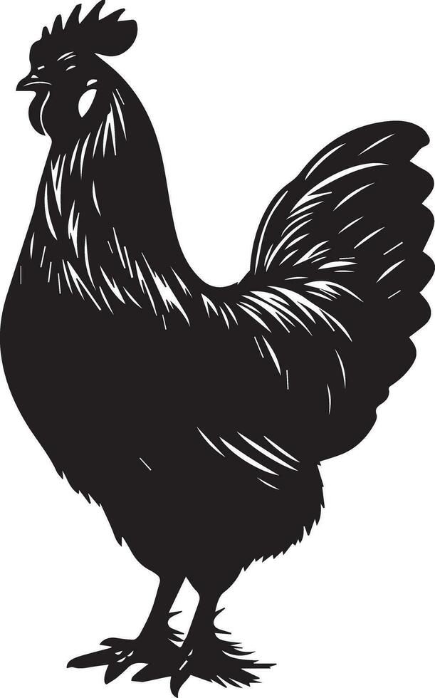 australorp kyckling vektor silhuett illustration svart Färg