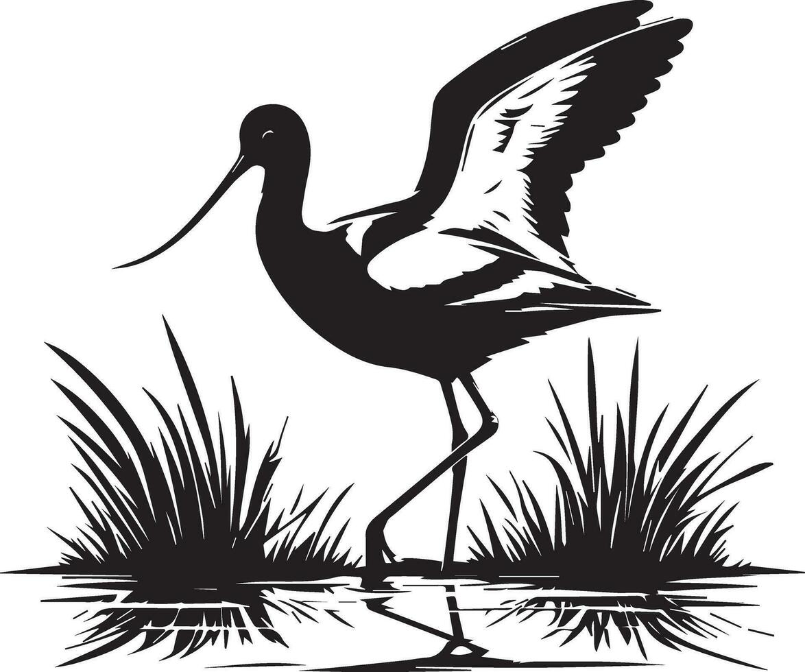 avocet fågel vektor silhuett illustration svart Färg