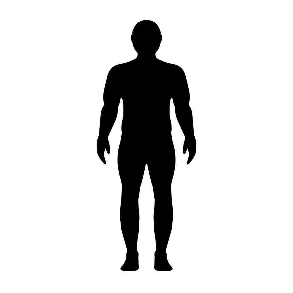 Silhouette athletisch gebaut stämmig Mann, Konturen Linderung Muskeln Athlet vektor