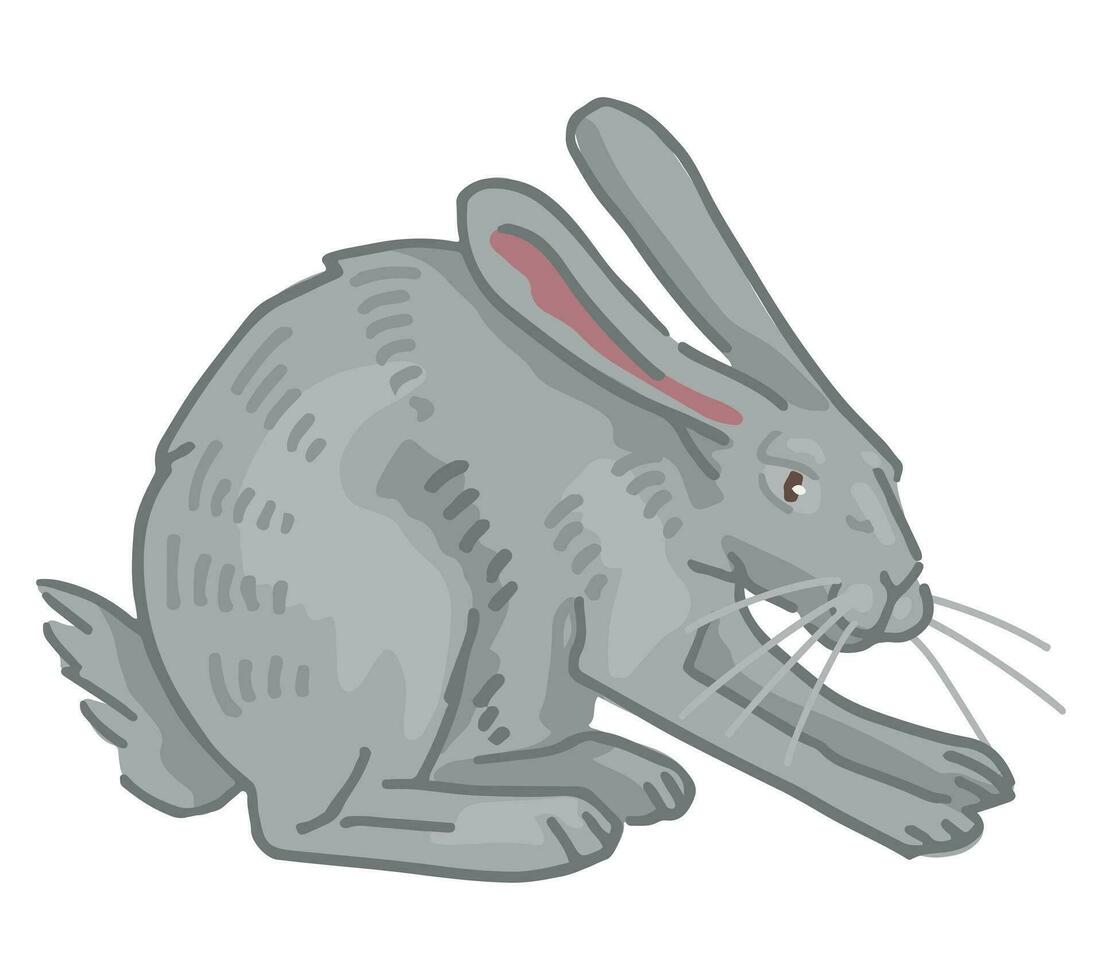 Karikatur Clip Art von süß Hase, Hase. Gekritzel von Wald wild Tier. Vektor Illustration isoliert auf Weiß Hintergrund.