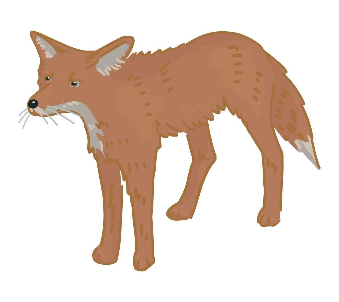 Karikatur Clip Art von süß Fuchs. Gekritzel von Wald wild Tier. Vektor Illustration isoliert auf Weiß Hintergrund.