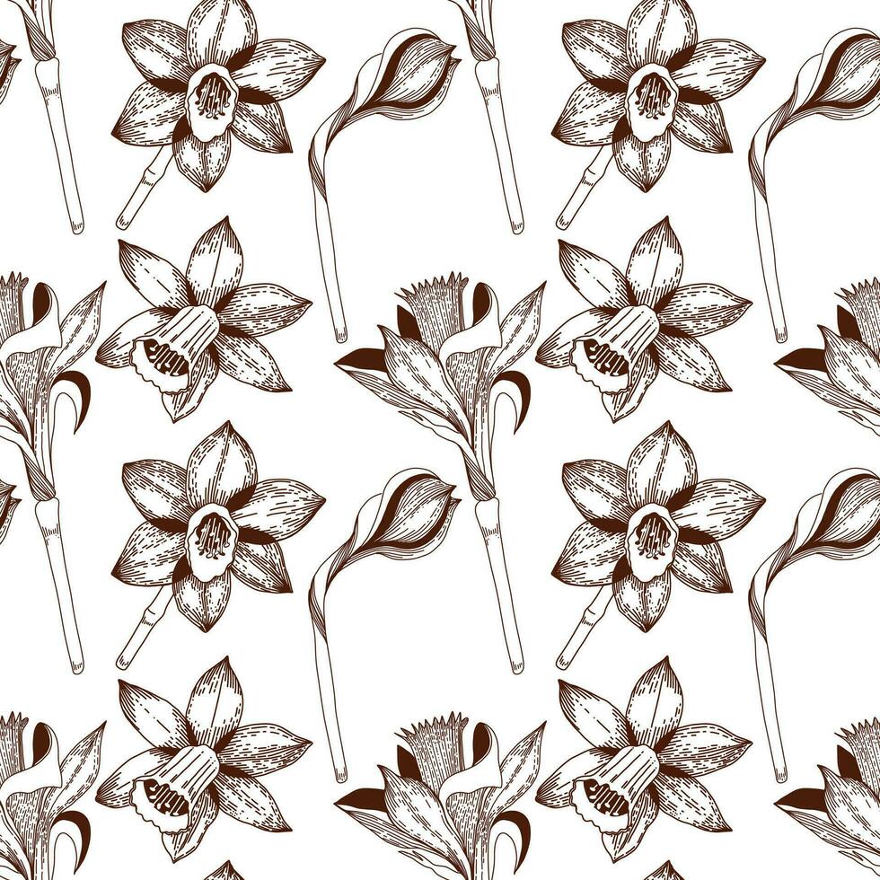 blommig mönster. sömlös mönster av påskliljor dragen på en Urklipp i mörk brun vektor. för de design av vykort, inbjudningar, för de design av bröllop och firande, för utskrift. vektor