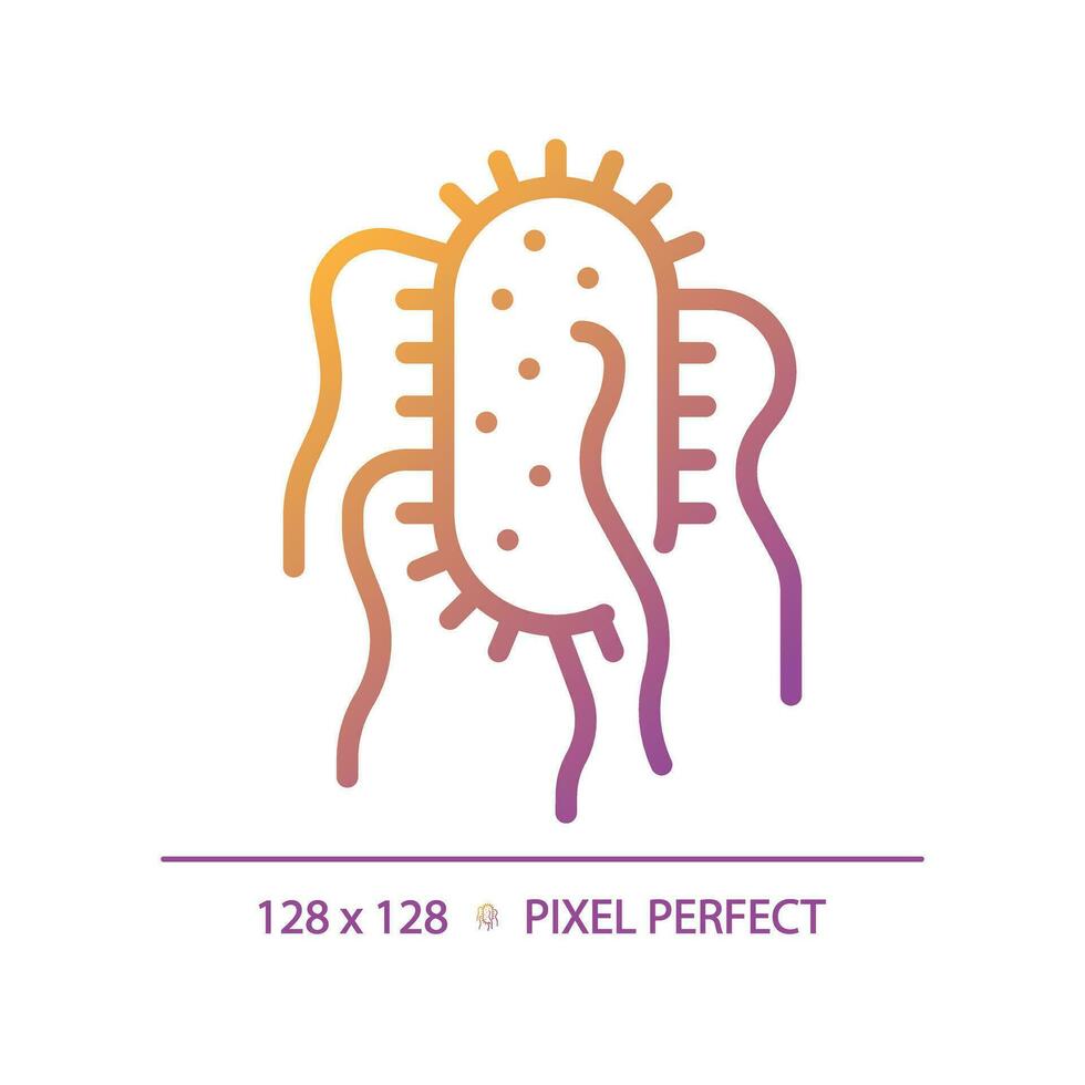 2d pixel perfekt lutning salmonella typhi ikon, isolerat vektor, tunn linje illustration representerar bakterie. vektor