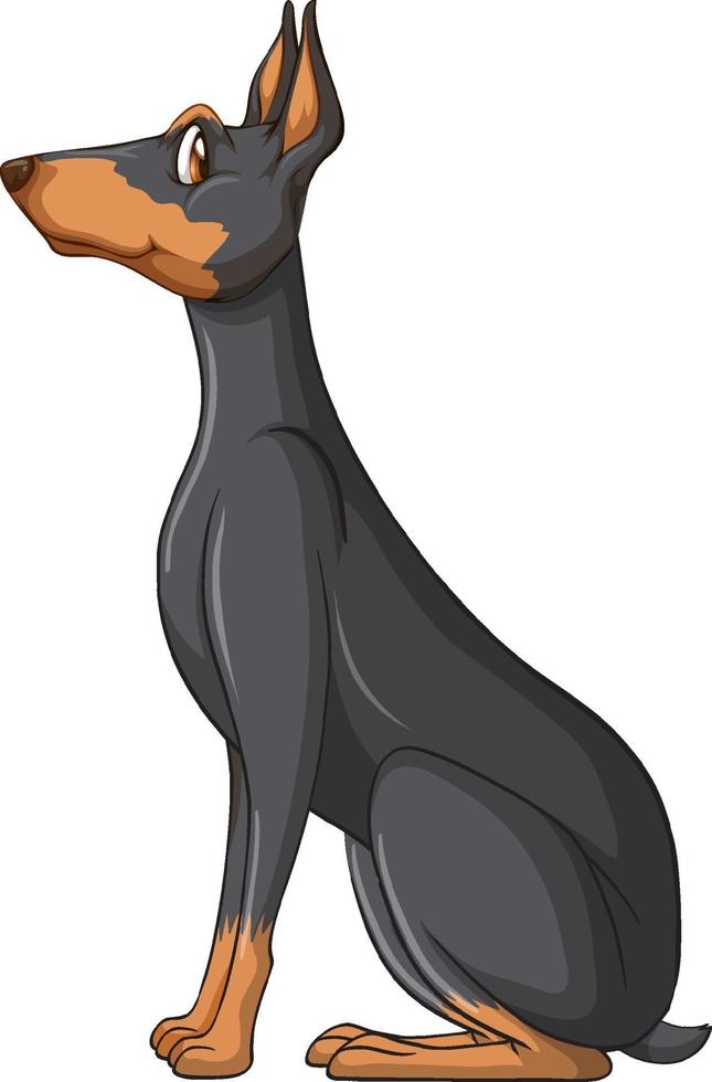 Dobermann-Pinscher-Hund-Cartoon auf weißem Hintergrund vektor