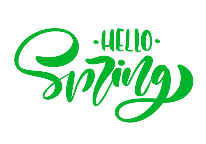 Kalligrafi bokstäver frasen Hello Spring. Vector Hand Drawn Isolerad text.