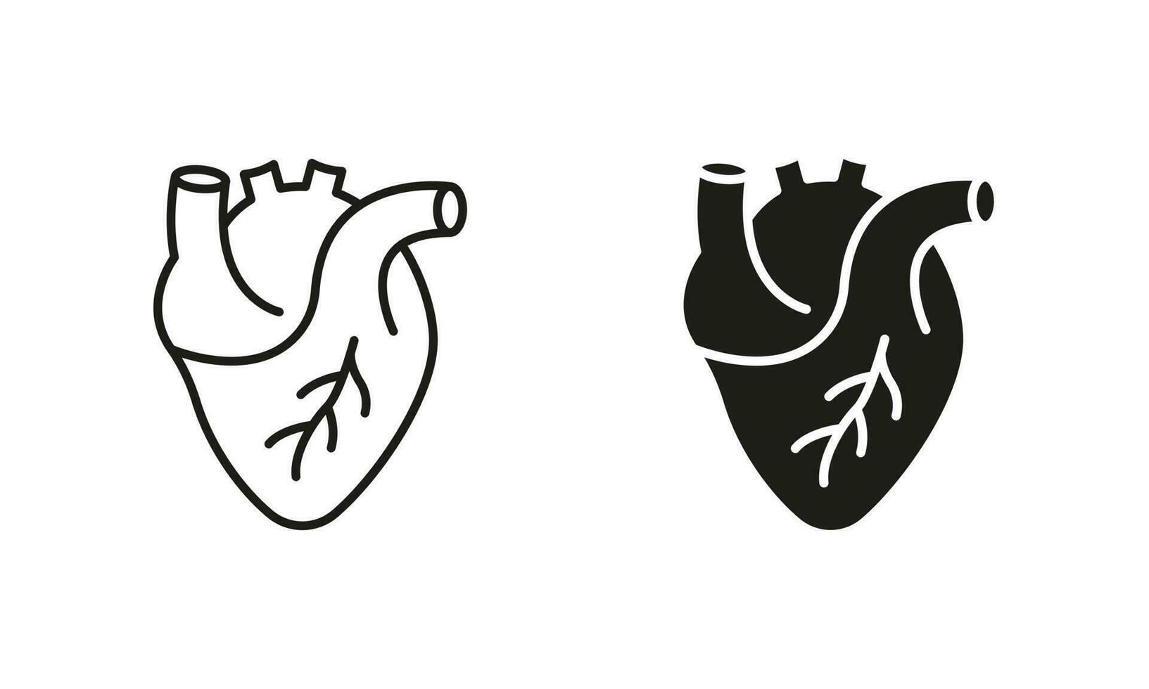 gesund kardiovaskulär Organ Symbol Sammlung auf Weiß Hintergrund. Mensch Herz, Herz Muskel Linie und Silhouette Symbol Satz. medizinisch Kardiologie Piktogramm. isoliert Vektor Illustration.