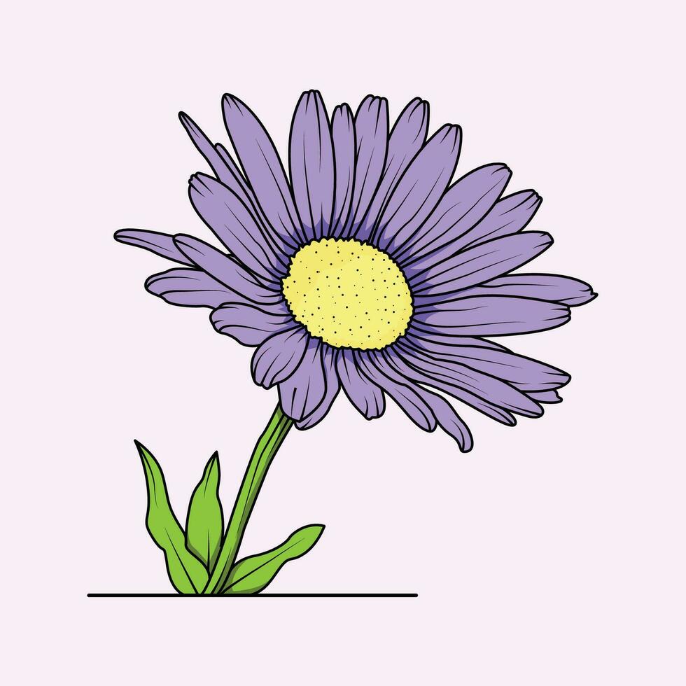 aster blomma de illustration vektor