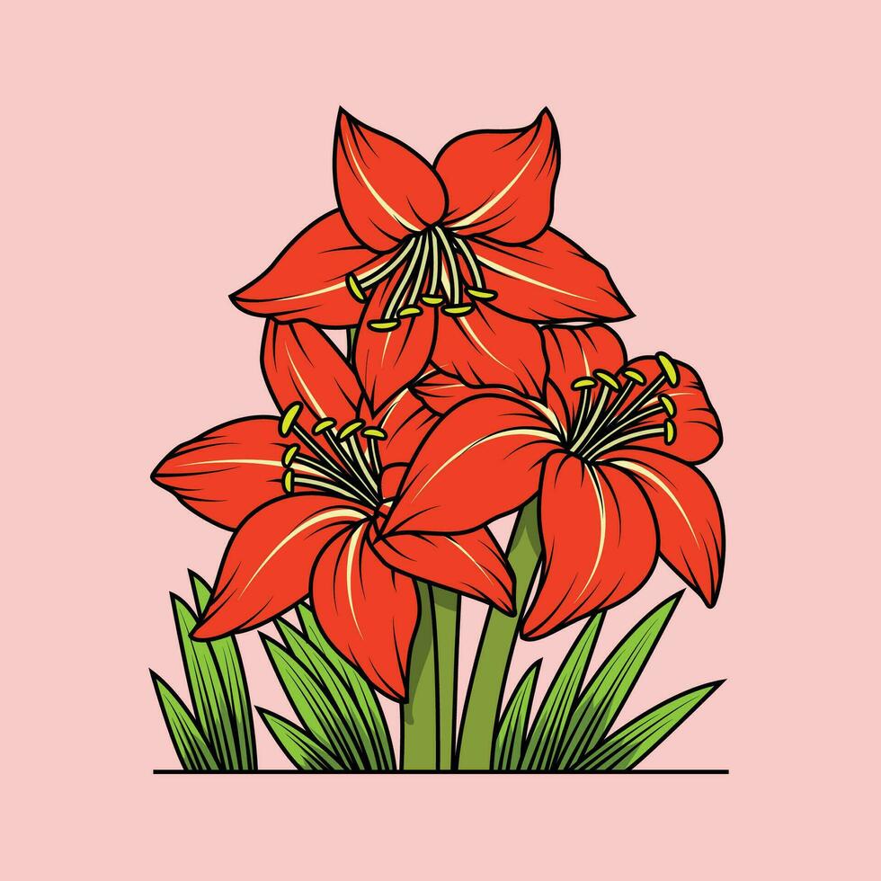 de illustration av amaryllis blomma vektor