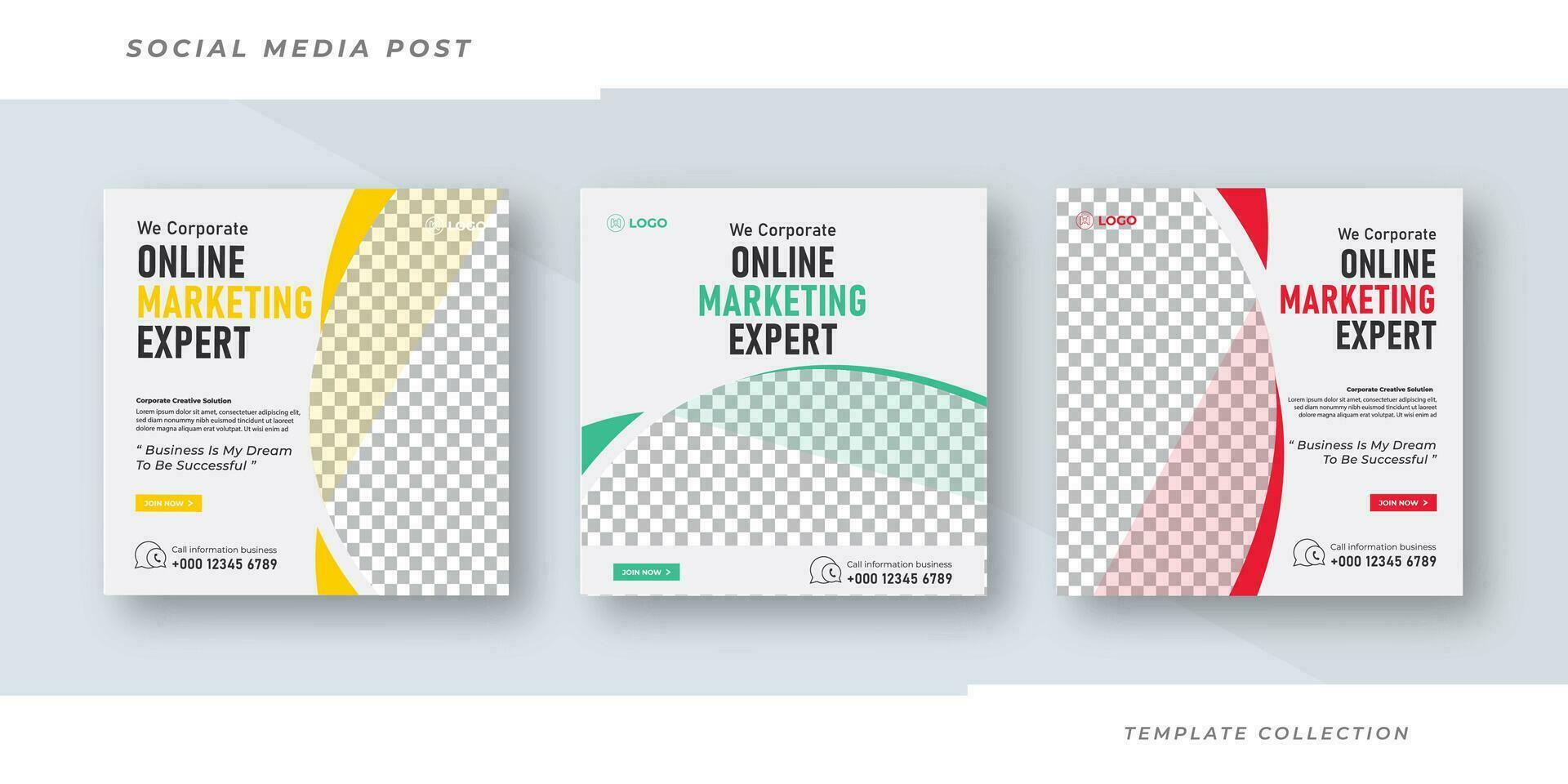 online Marketing Experte online Webinar Sozial Medien Post einstellen , korporativ Geschäft Beförderung Sozial Medien Netz Banner, Platz Flyer Design Vorlage Profi Vektor