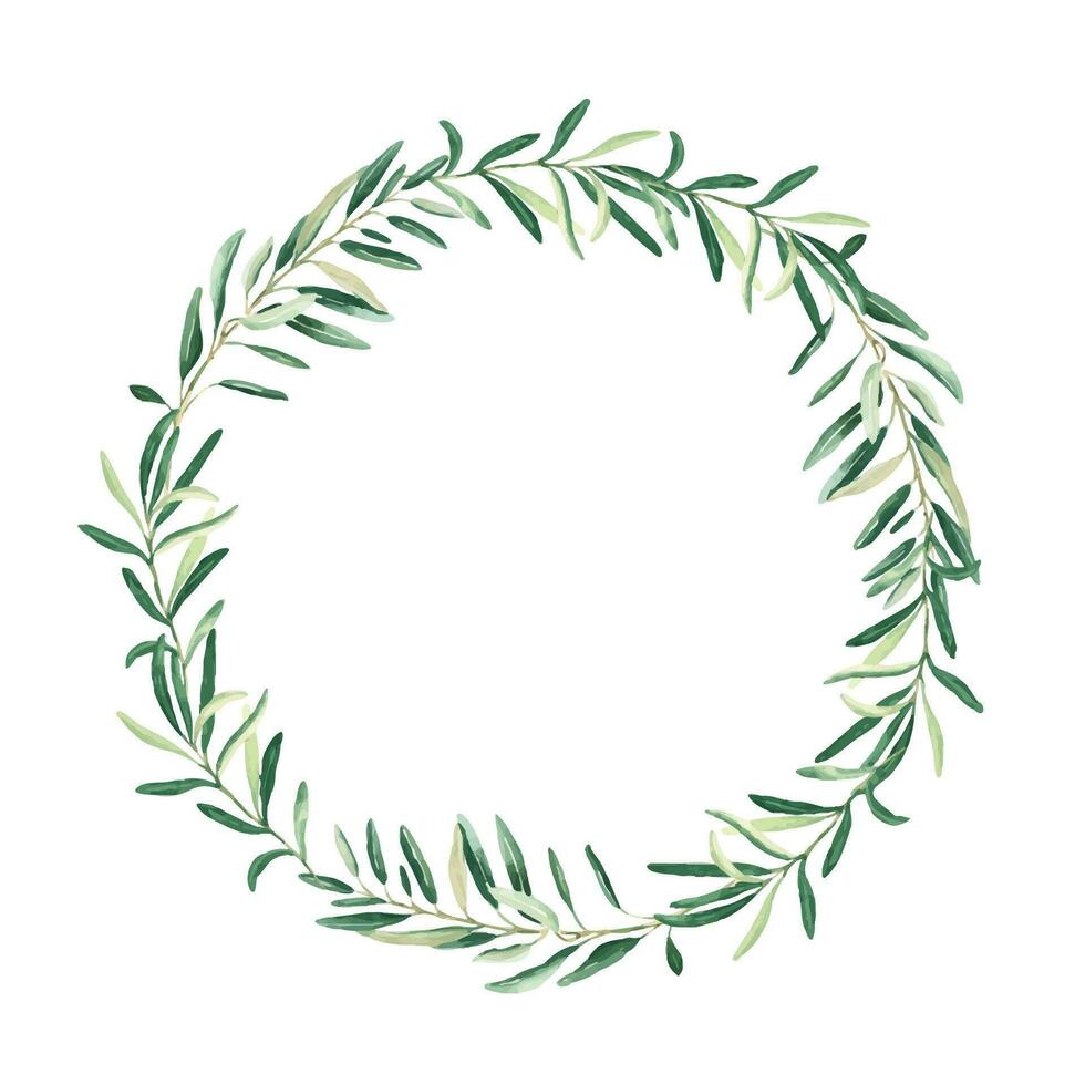 vattenfärg oliv krans. hand dragen botanisk illustration. kan vara Begagnade för kort, logotyper och mat design. vektor