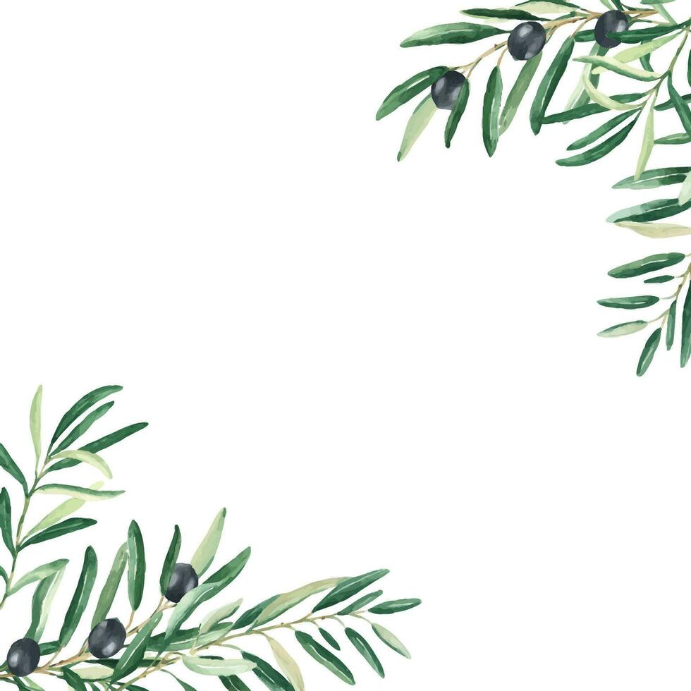 oliv träd fyrkant ram, gräns. svart oliver och grenar hörn. hand dragen vattenfärg botanisk illustration. kan vara Begagnade för kort, logotyper och mat design. vektor