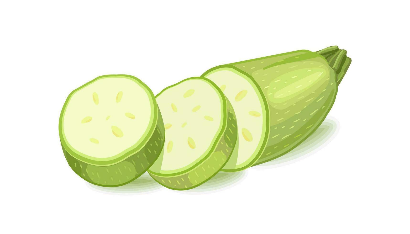 Gemüse Zucchini. Schnitt Scheiben. Vektor Illustration auf Weiß Hintergrund