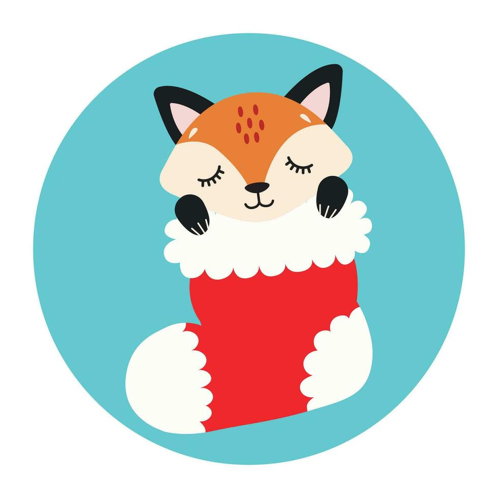 süß wenig Fuchs schläft im ein Weihnachten Strumpf. glücklich Feiertage. Winter Tier. Vektor Illustration.