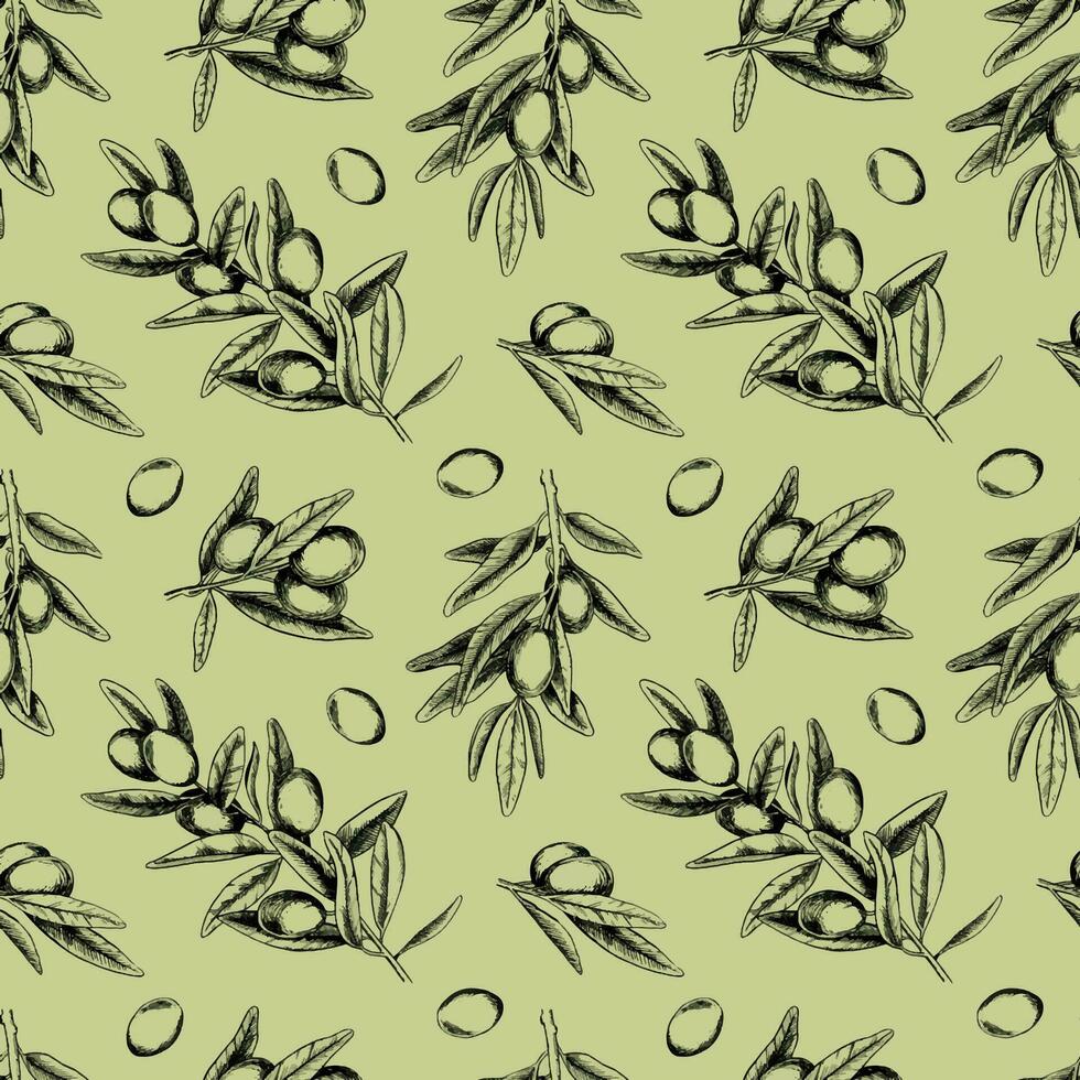 oliv grenar, löv och frukter. sömlös mönster. hand dra illustration i skiss stil. gravyr. bakgrund för tyg, förpackning papper, scrapbooking, produkt förpackning design vektor