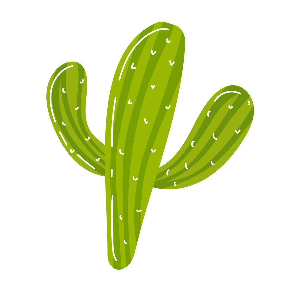 Grün Mexikaner Kaktus mit Nadeln isoliert auf Weiß Hintergrund. vektor
