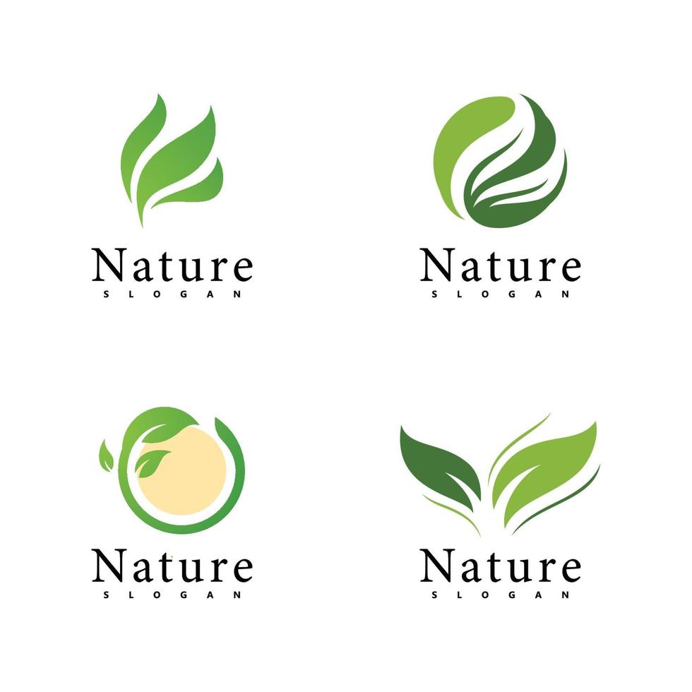 Natur-Logo-Vektor-Design-Vorlage. Blattsymbol vektor