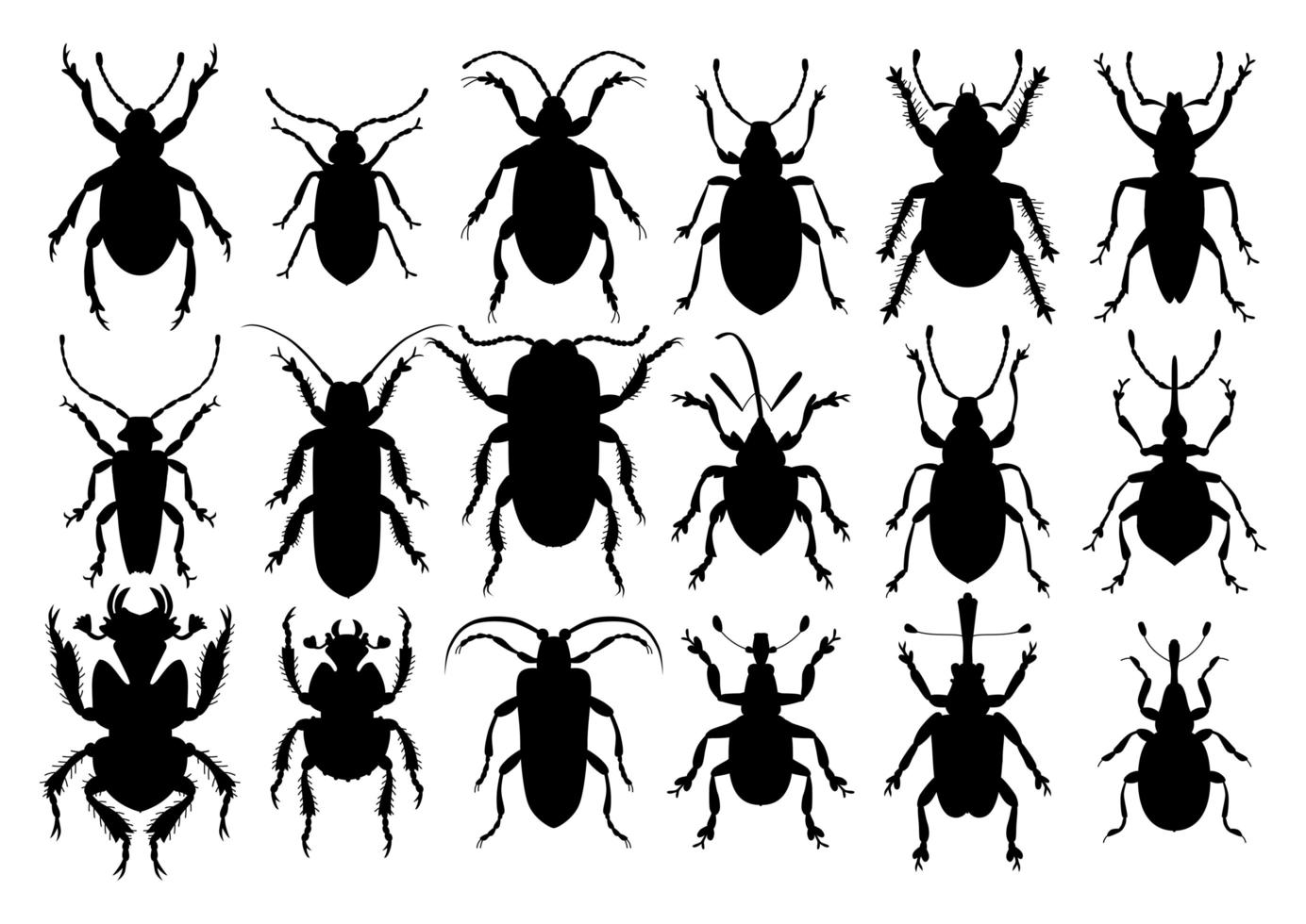 Silhouette Insekten-Set isoliert auf dem Weiß. vektor