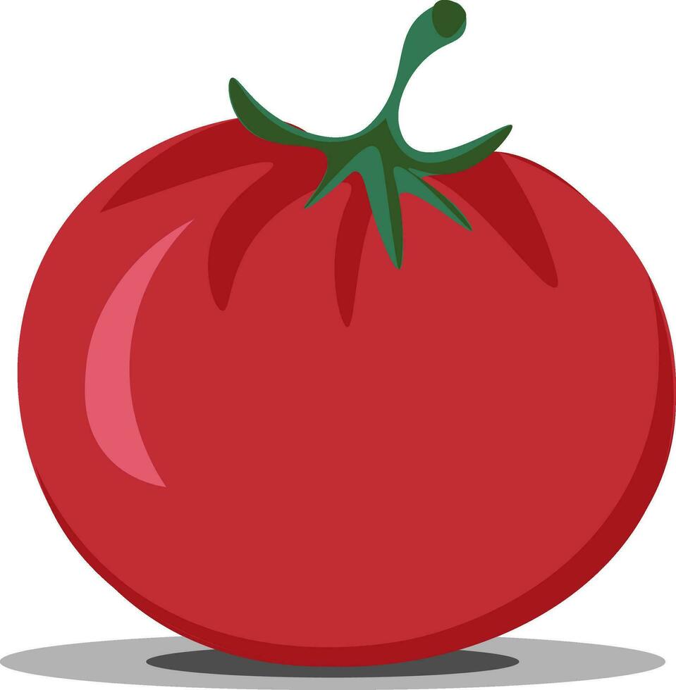 Clip Art von das rot Tomatosolanum Lycopersicum, Vektor oder Farbe Illustration.