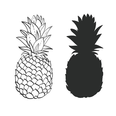 Svartvitt ananas vektor