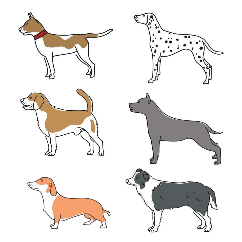 Illustration einstellen von Hunde von anders Rassen klein und groß Haustiere im ein Stehen Position vektor