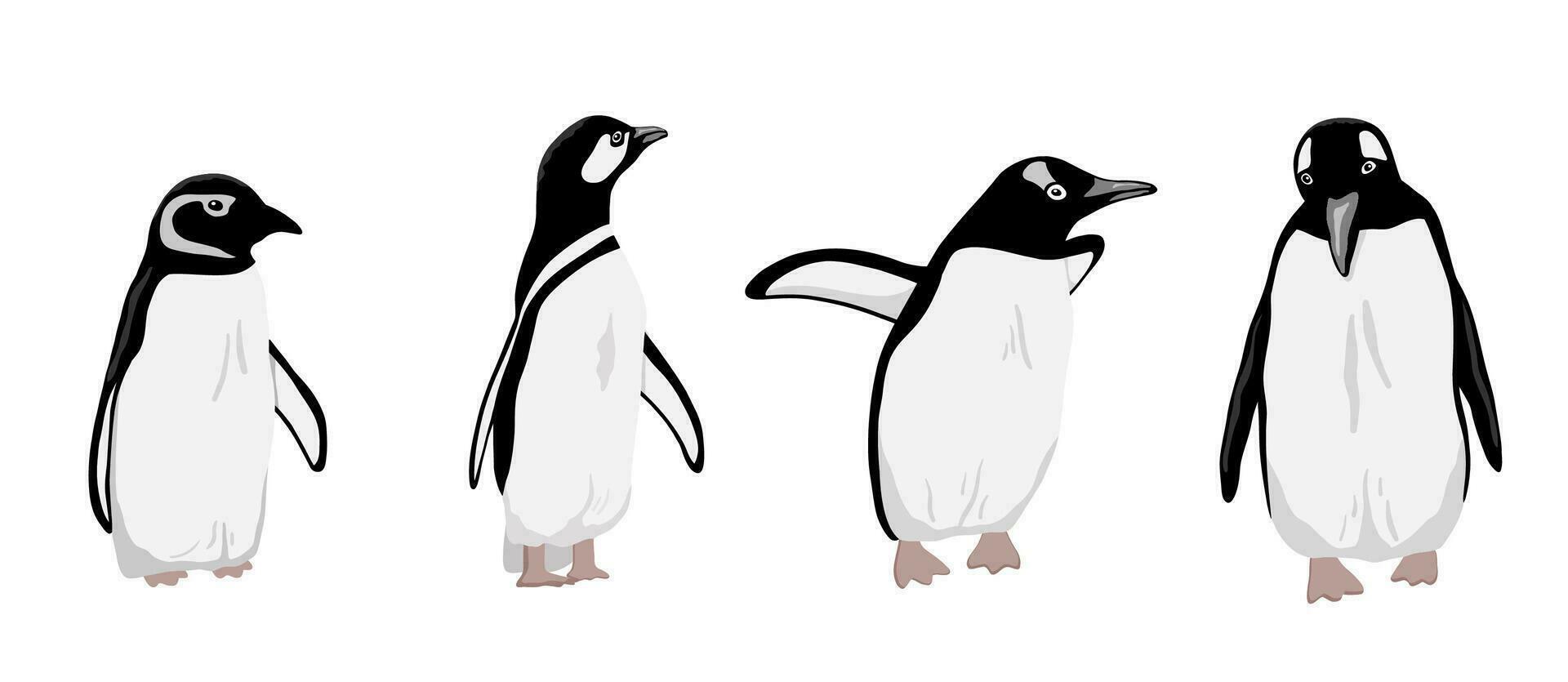 süß Nord Pinguin Satz. eben Vektor Illustration isoliert auf Weiß. Polar- Tier