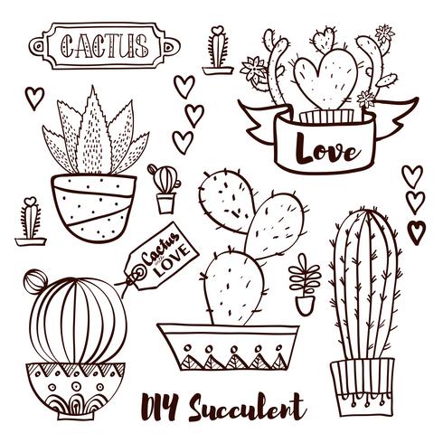 Kaktusar och succulenter i krukor. vektor