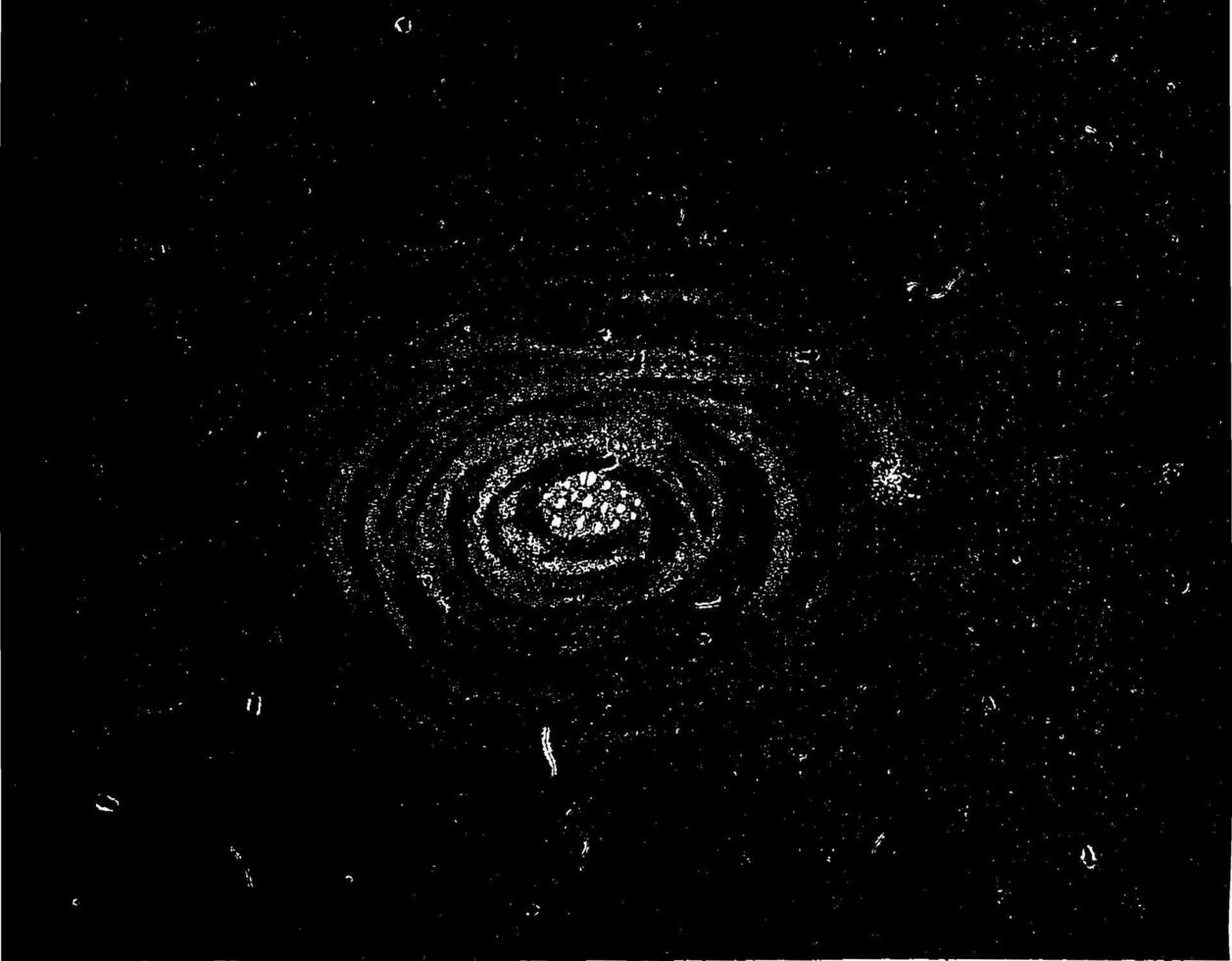 lejon nebulosa, som visar oklar ringar. bild av Träning världar, årgång gravyr. vektor