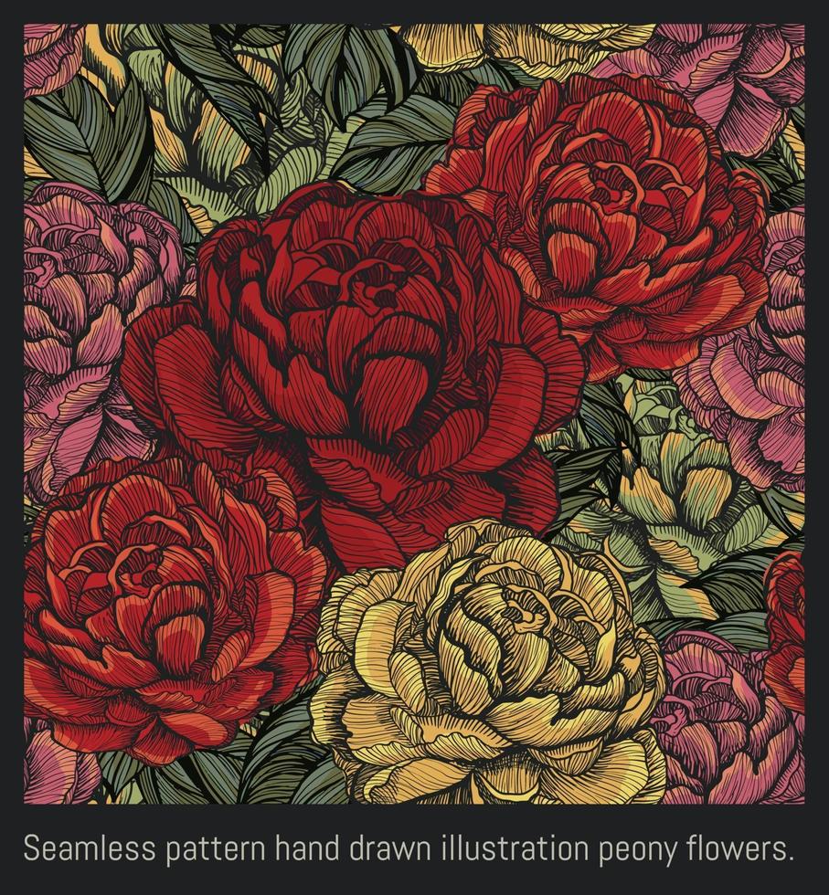 nahtlose Muster handgezeichnete Abbildung Pfingstrose Blumen. vektor