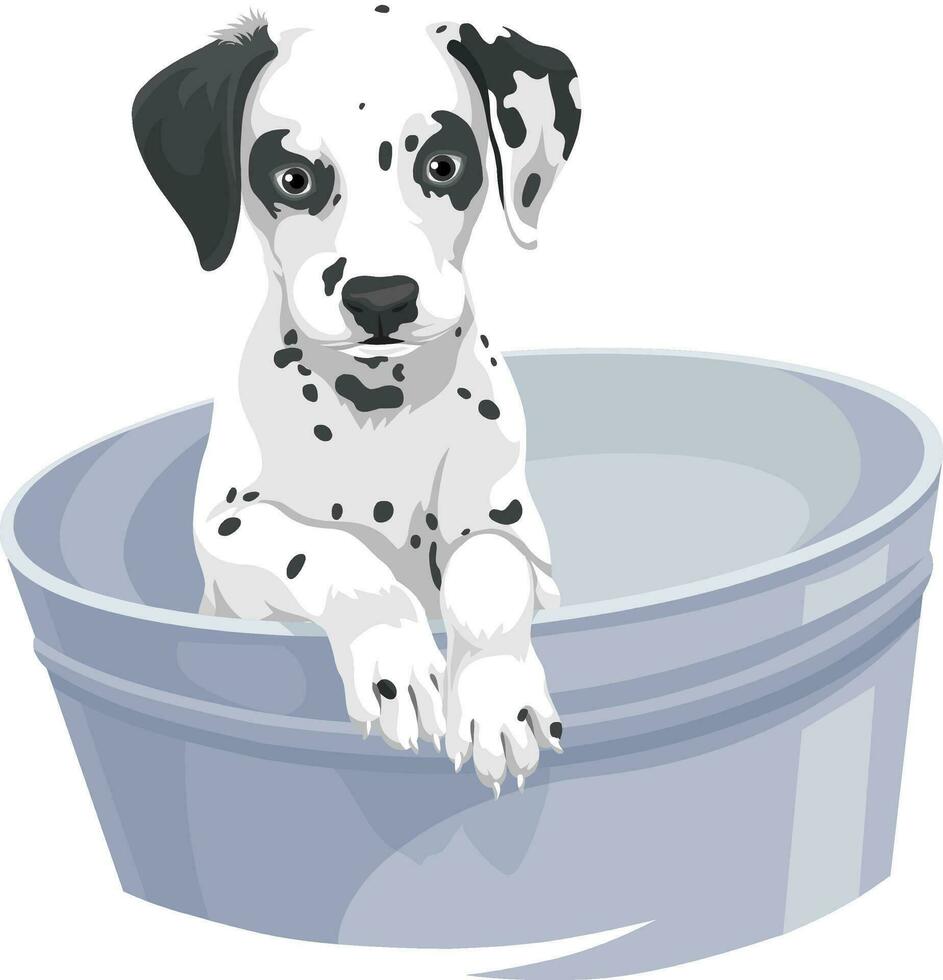 Vektor von Dalmation Hund im Badewanne.