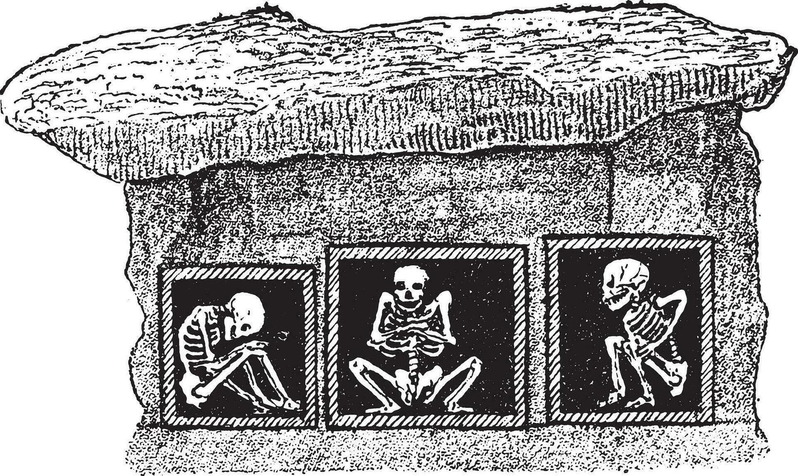 Einstellung von das Skelette im das Beerdigung Gewölbe von ein Tumulus von Dänemark, Jahrgang Gravur. vektor