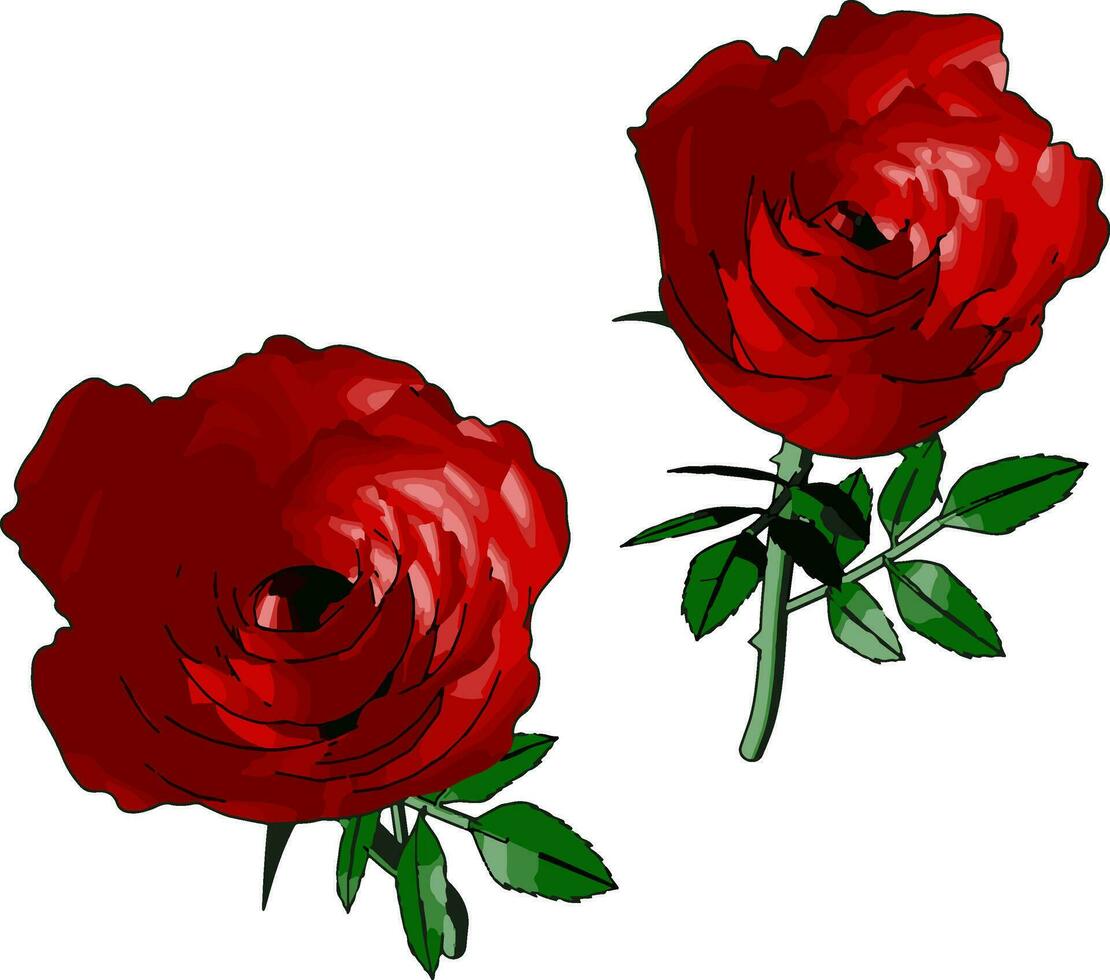 rote Rose, Illustration, Vektor auf weißem Hintergrund.