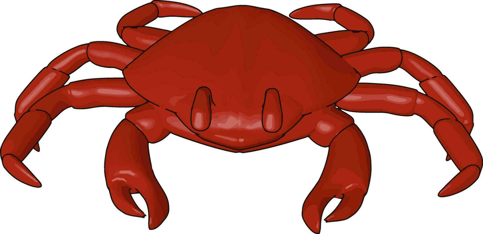 en röd krabba typ av skaldjur och skaldjur vektor eller Färg illustration